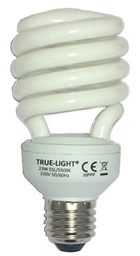 Ampoule True-Light